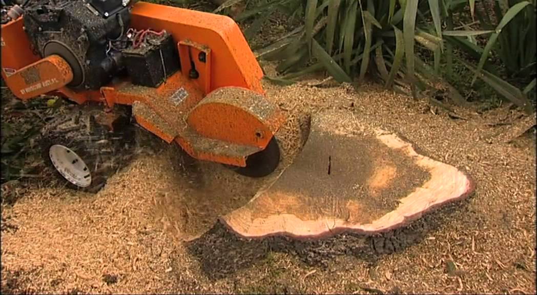 stump grinding