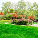 Best Compost for landscaping